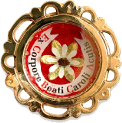 Reliquie des seligen Carlo Acutis